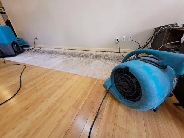 Professional Sewage Cleanup technician working in Cliffwood, NJ